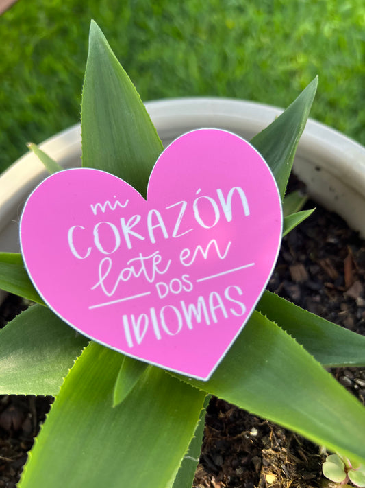 Mi Corazón